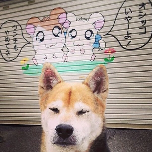 kaiyun网站-《电竞赛事的“黑马”战队逆袭奇迹》，电竞圈黑马