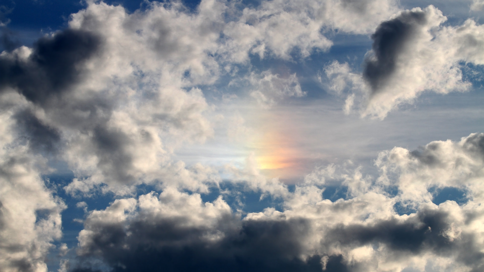 世界短道速滑锦标赛创新技术应用，助推比赛公平，世界短道速滑比赛视频