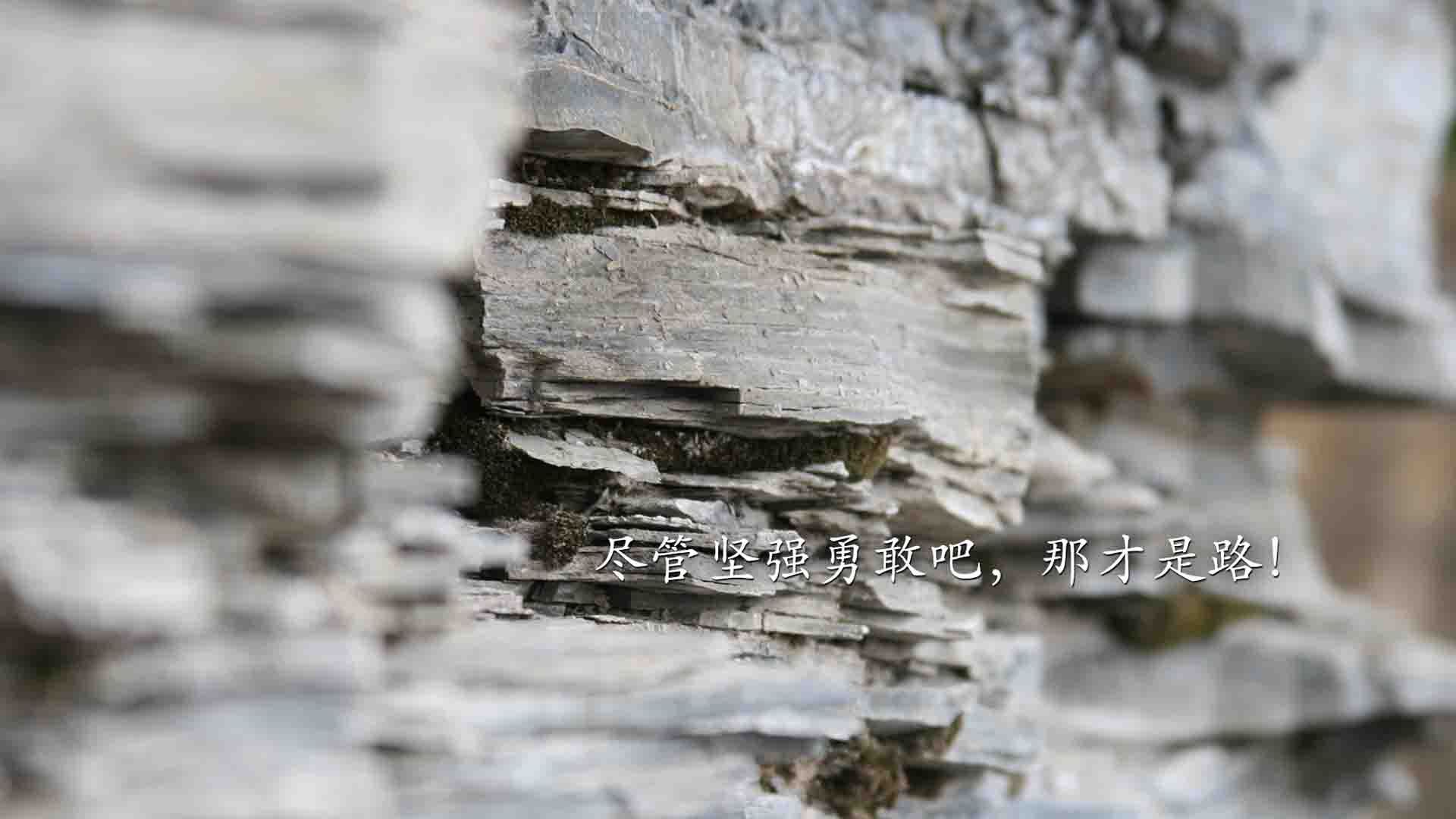 全国青少年“篮球+文化”融合创新展在上海盛大亮相，彰显青训新风尚