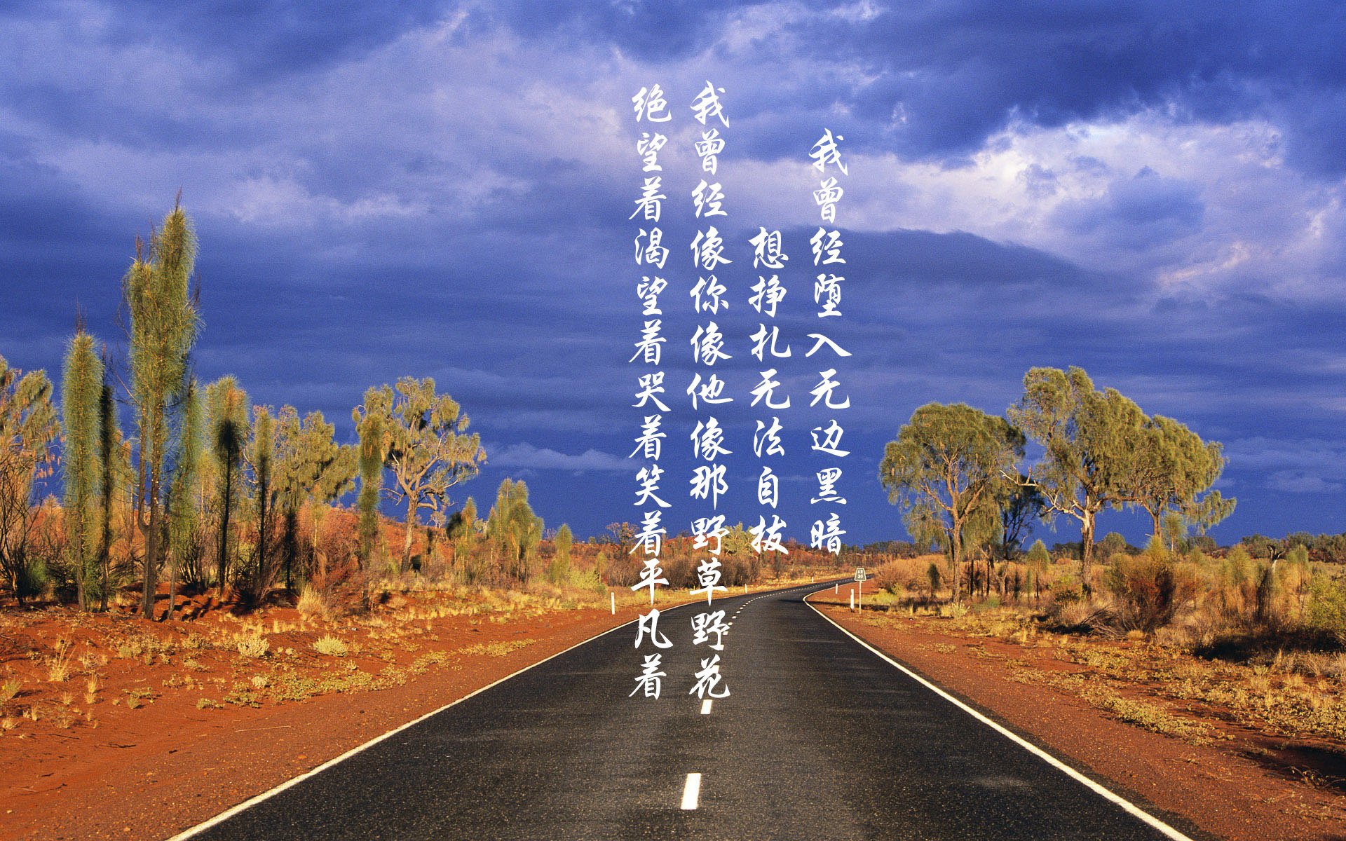 球员成长记:从菜鸟到联盟中坚的奋斗之路,球员成长怎么弄