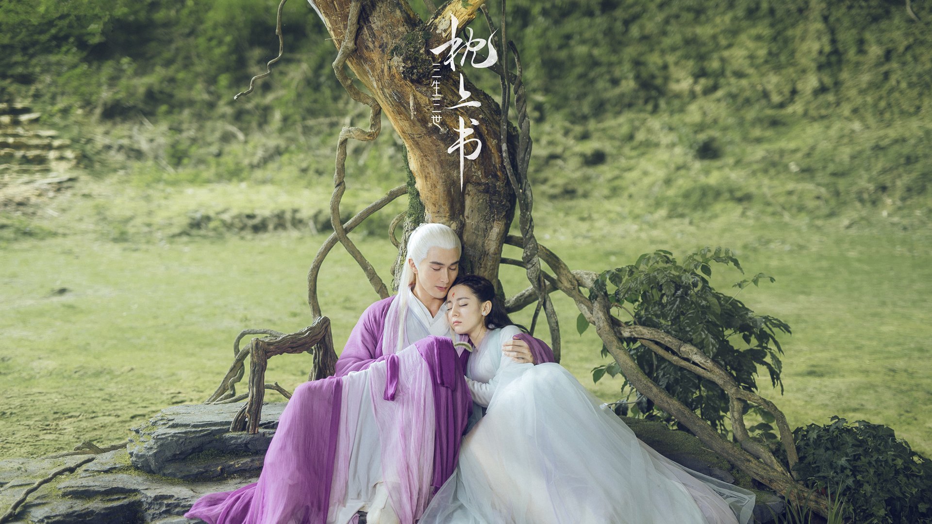 篮球明星效应促进赛事观众增长,篮球明星知识