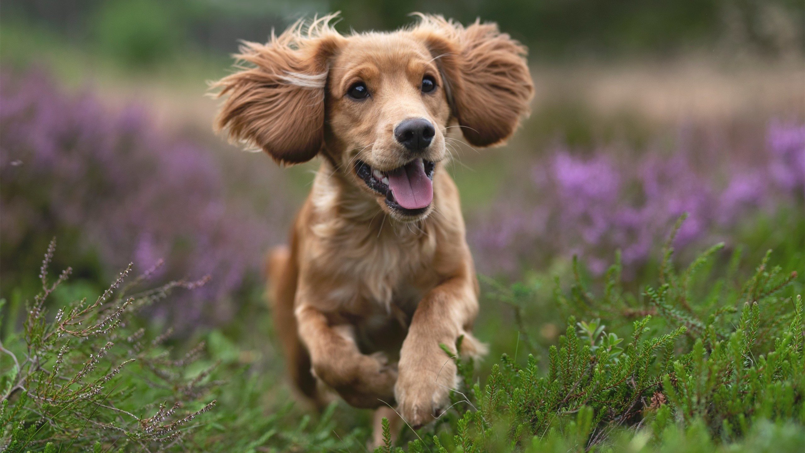 kaiyun网站-逆转“传奇瞬间”推动历史变革，历史转身