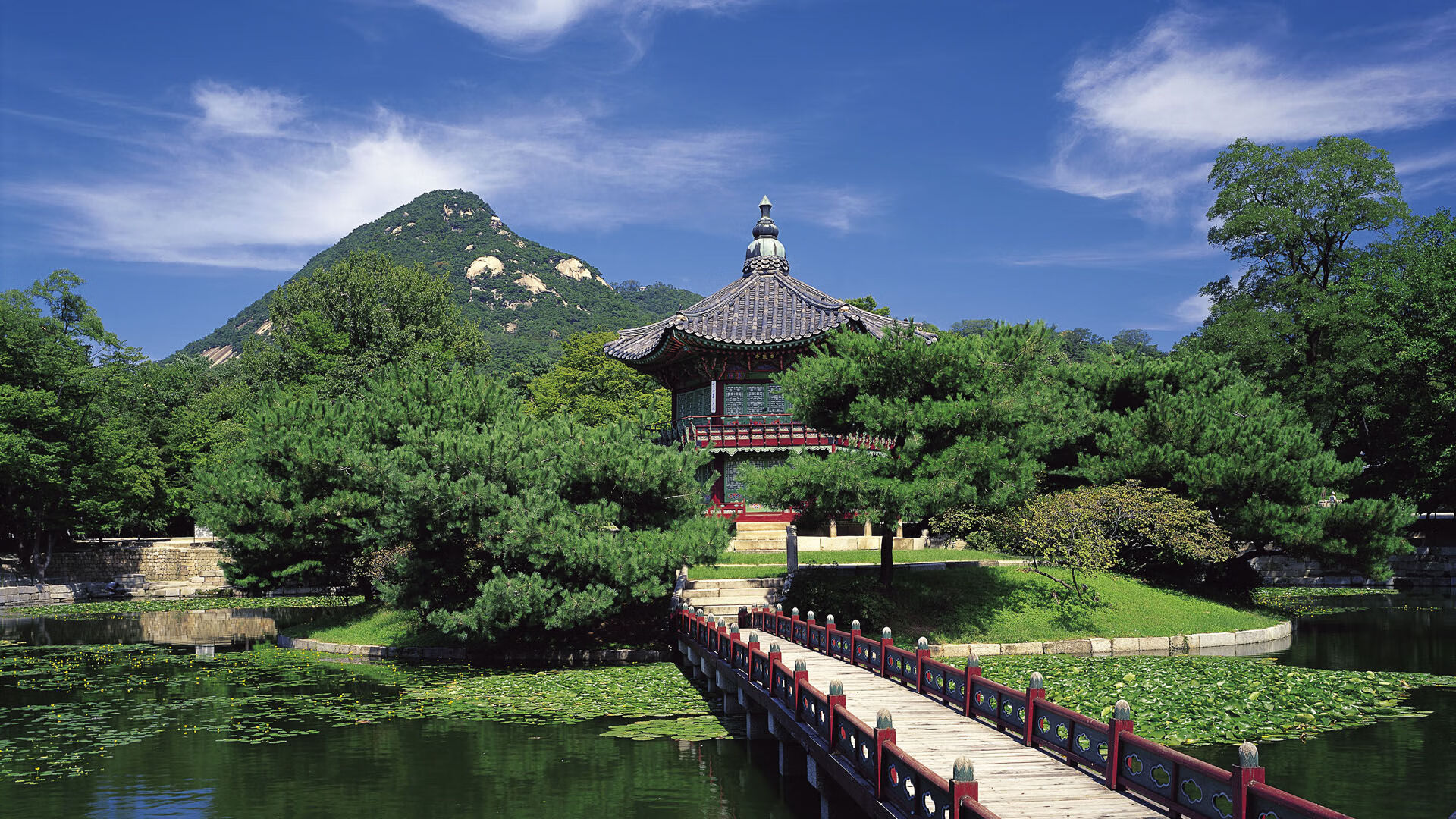 EDG战队战术布置引发热议，edg战队zet