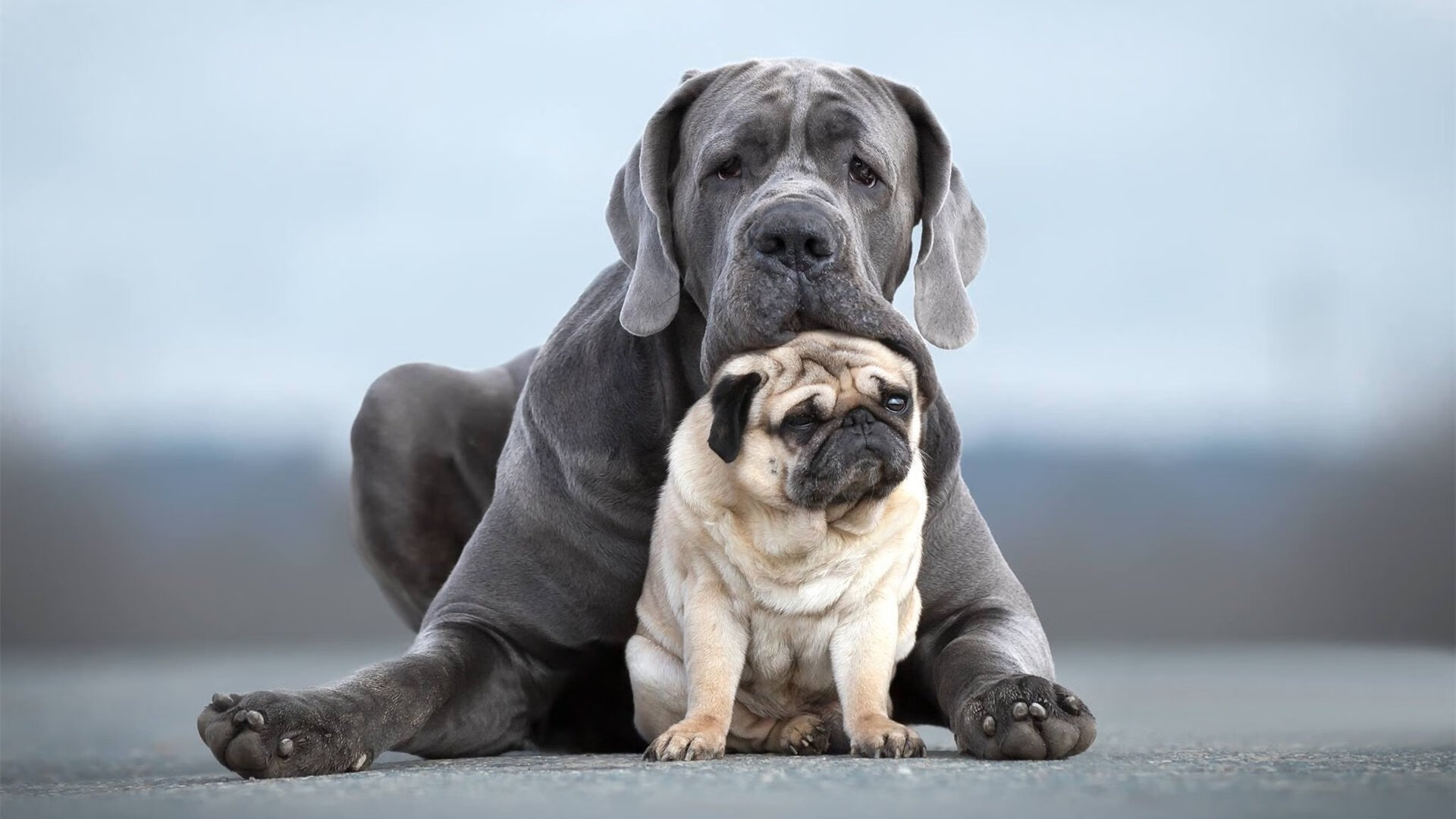 kaiyun体育app-奥格斯堡队员展现出坚韧不拔的精神，以优异表现获得胜利，奥格斯堡转入球员