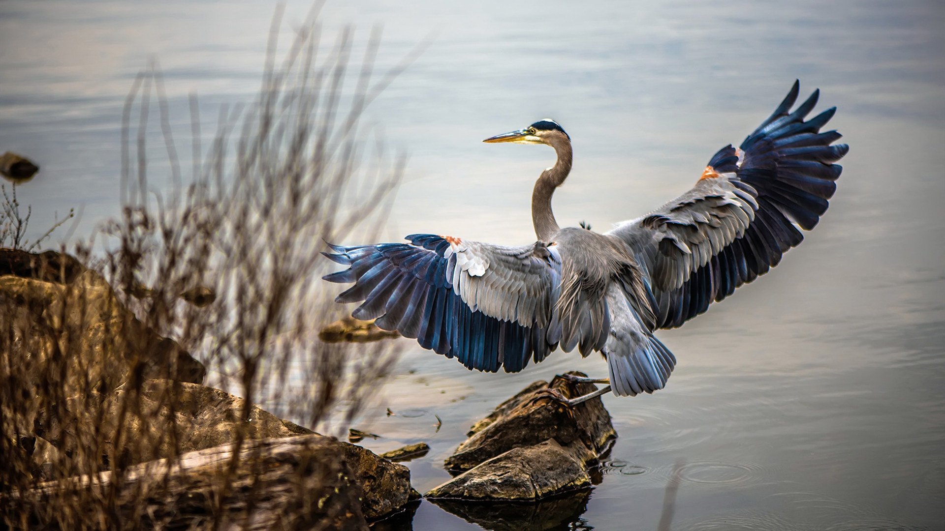kaiyun中国官方网站-布鲁诺·卡博克洛成为NBA品牌代言人，nba各球员代言的品牌