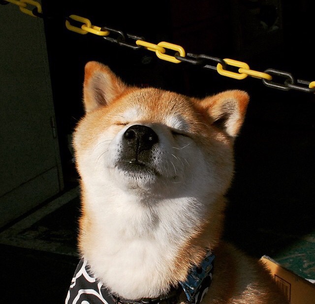 KAIYUN 中国大陆-布里斯托城边路推进频繁，阿什顿门力保主场荣耀，布里斯托城队