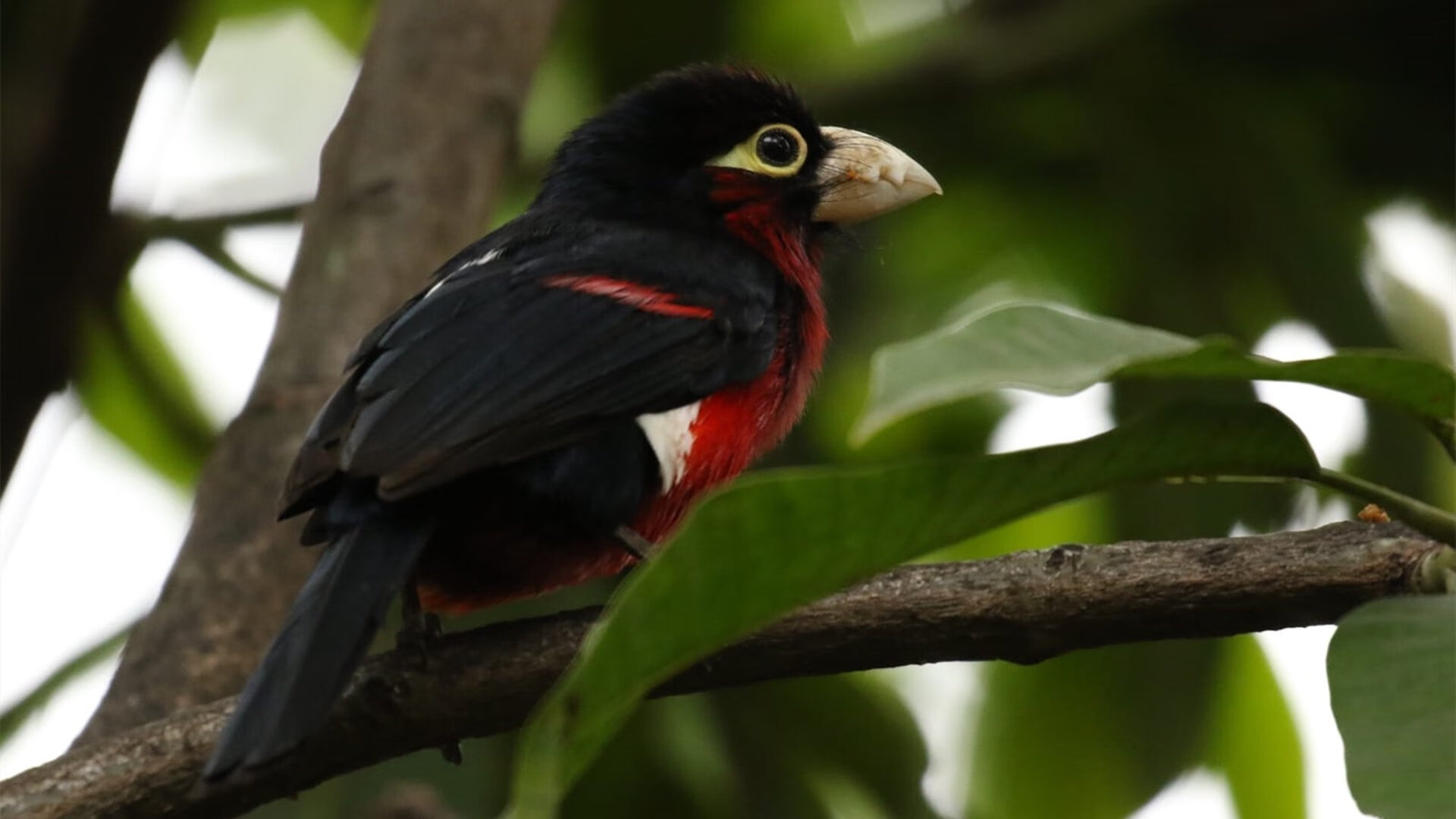 开云体育-河北精英主场告捷，重返胜利轨道，河北精英足球俱乐部官网