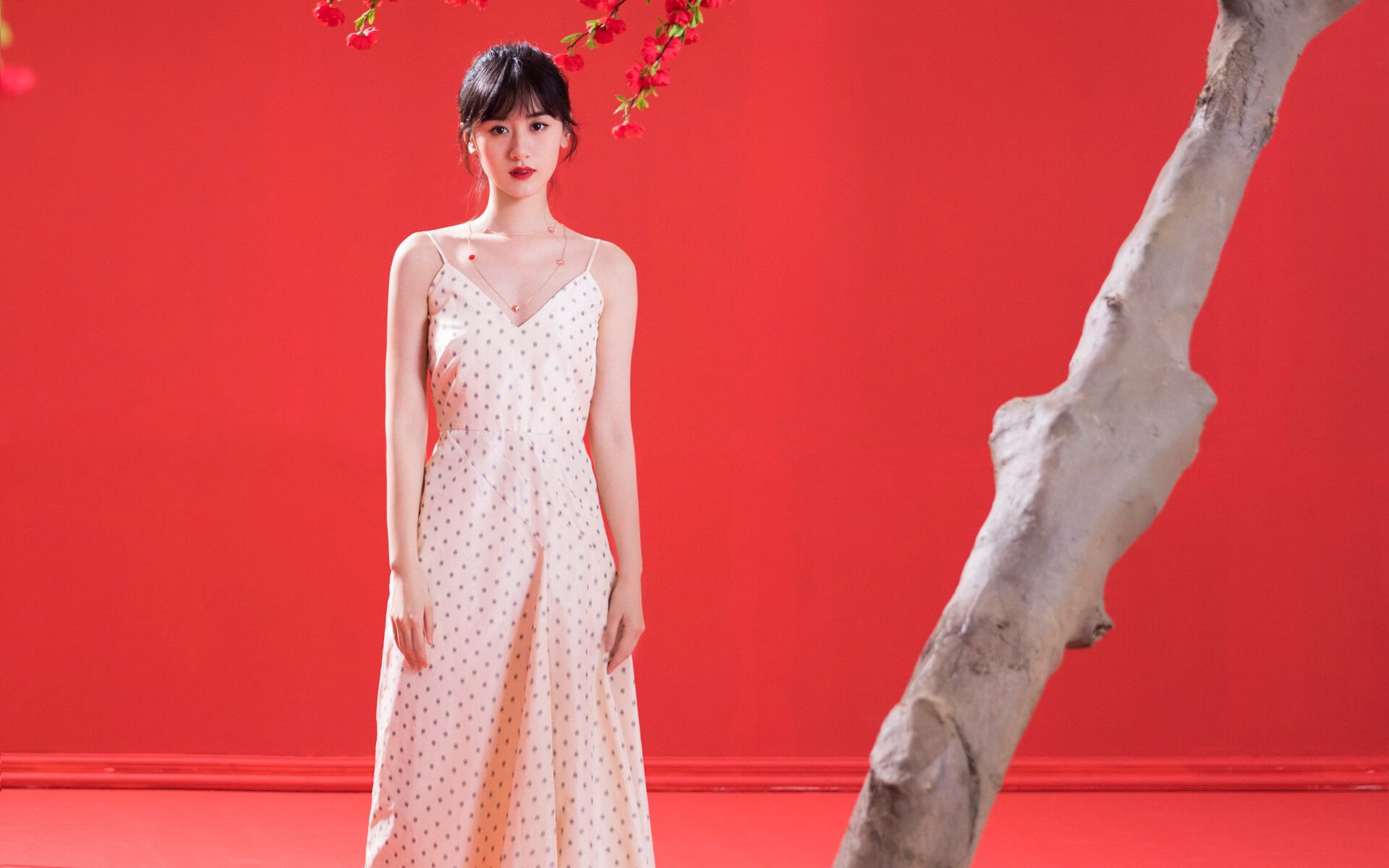 波黑足球队在欧洲比赛中大放异彩,波黑足球队队员名单