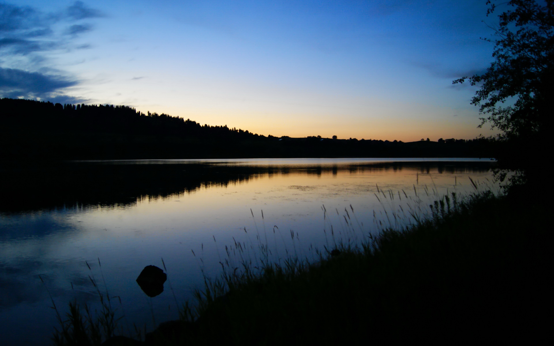 开云kaiyun-篮球运动员营养补给研究进展，篮球运动员营养需求