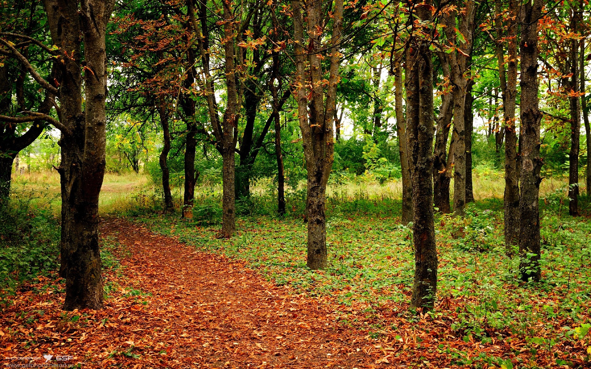 西班牙球员海外效力表现优异,西班牙的球员们完全