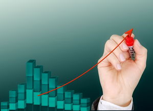 开云·体育官网APP下载-中国篮球后卫技术细节提升策略研究，篮球后卫基本功