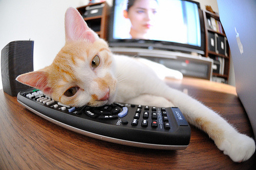 中国足球高节奏转换下的控球稳定性,足球如何控制节奏