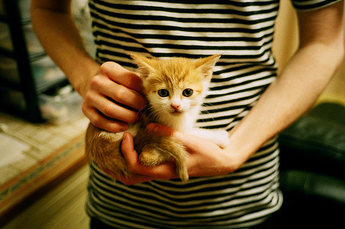 篮球专项体能训练中的疲劳监测与调整方法,篮球体能训练的能力测试方法有哪些