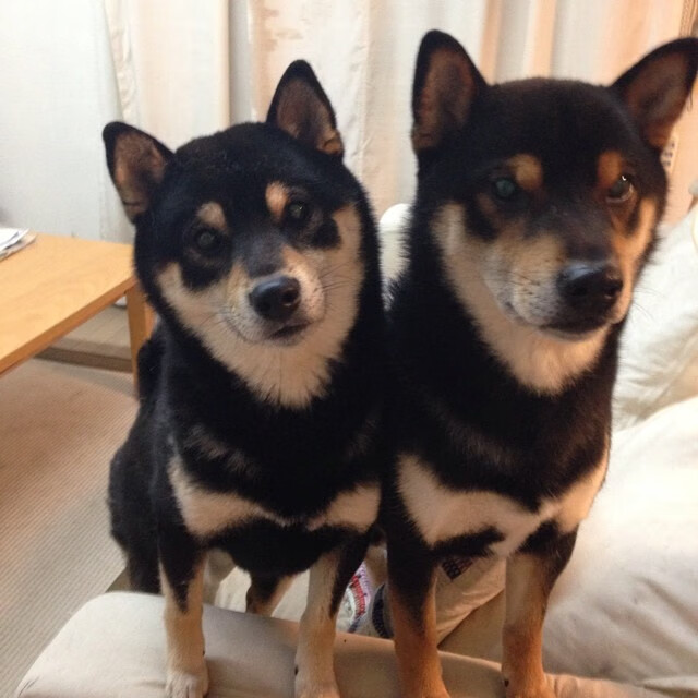 Kaiyun APP-“简阳文体中心：羽毛球赛场上演速度与技巧的巅峰对决”