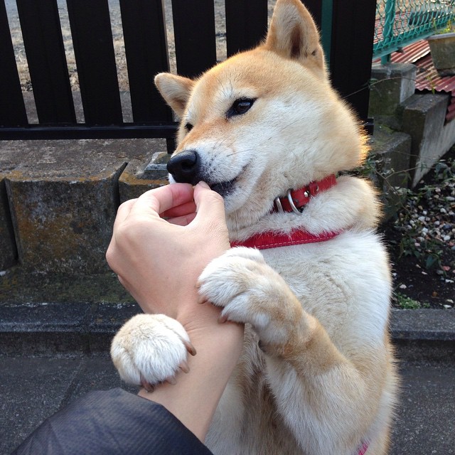 2026世界杯:各国足球队集训营紧锣密鼓,为比赛冲刺,足球俱乐部世界杯