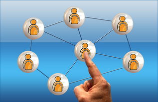 kaiyun中国官方网站-中小学篮球课程内容不断丰富提升学生篮球综合素养，中小学篮球教学方法