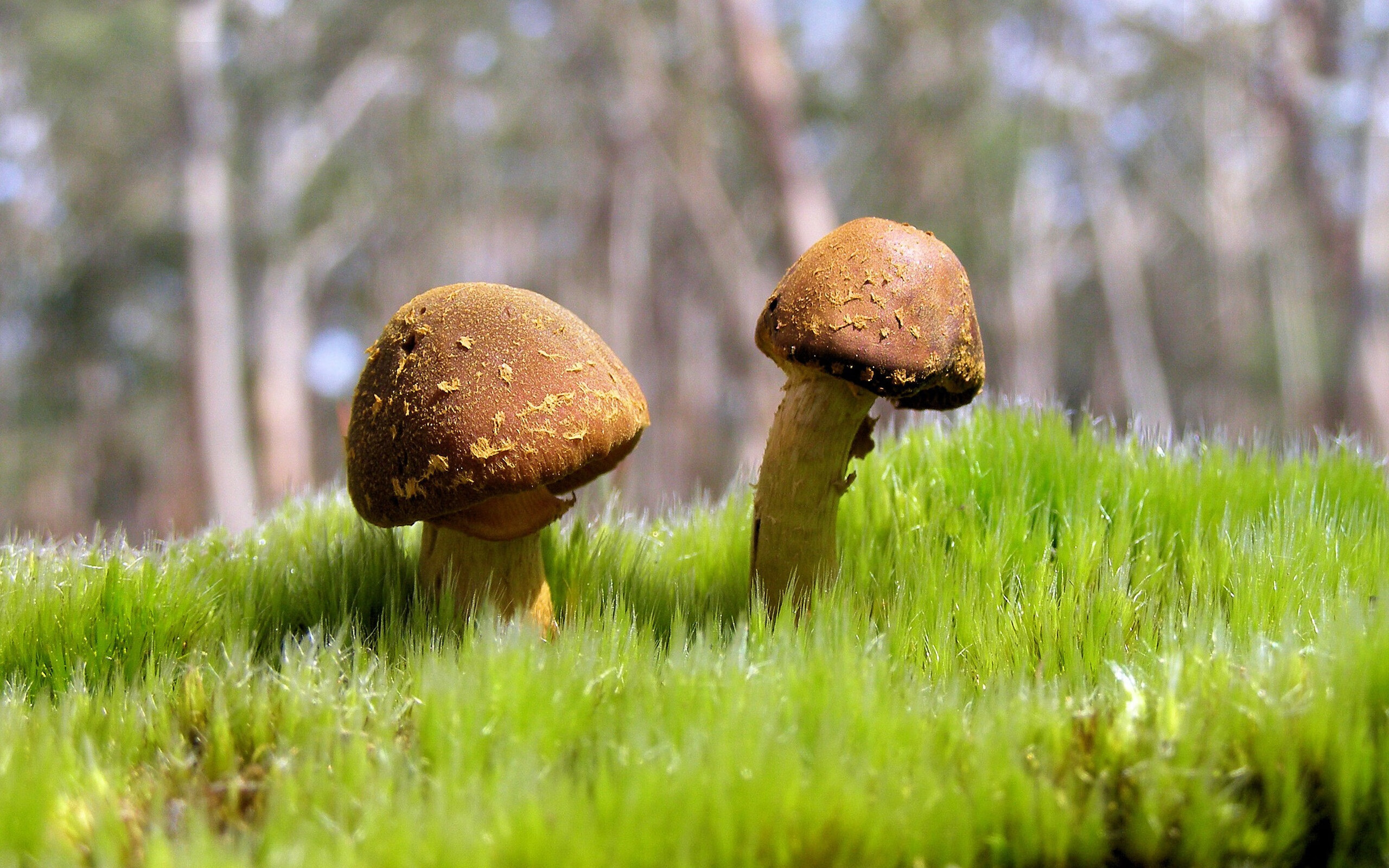 开云·体育官网APP下载-伊丽莎白·德克斯用实力回应质疑声，伊丽莎白·德比齐剧照