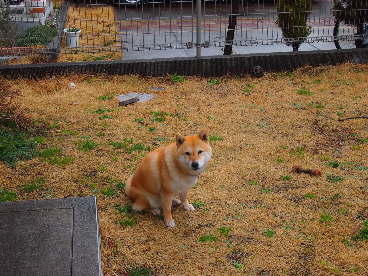 体育场馆应急疏散演练常态化推进,体育场馆安全预案