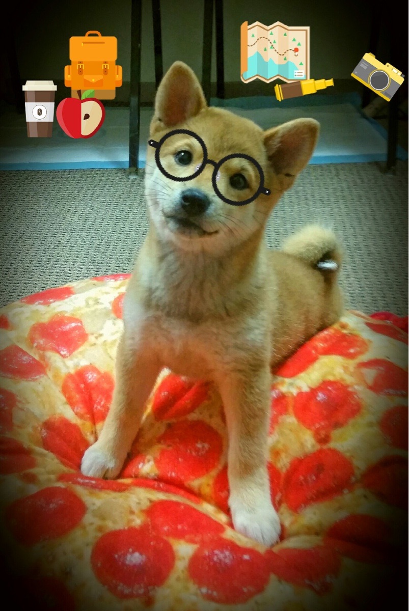 kaiyun登录入口-普里戈达赛后总结：经验成优势，普里戈金的哲学