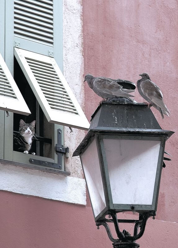 kaiyun开云·官方网站-朱婷晒合照纪念夺冠三周年感慨万千，朱婷2013年